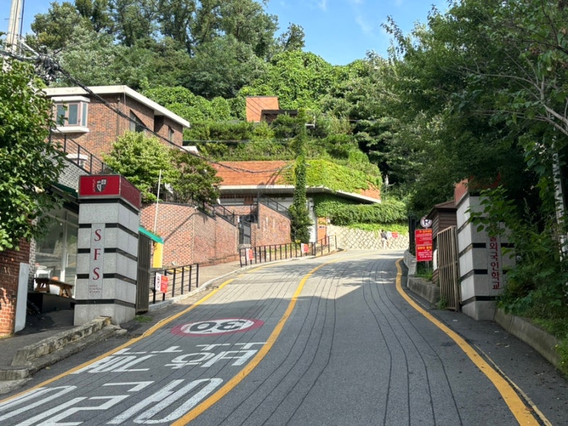펫티즈