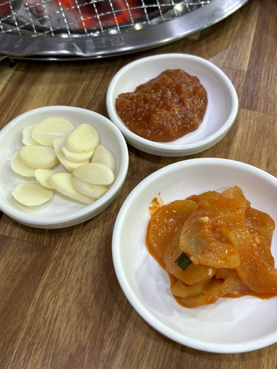 하누시대 사진 4