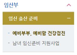  서울시 예비부부 임신준비 검사 종류 신청방법 사이트 (feat. 서초구 보건소)