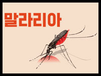 우리 아이 말라리아 모기 증상 치료 예방법 최신 정보와 실천 팁