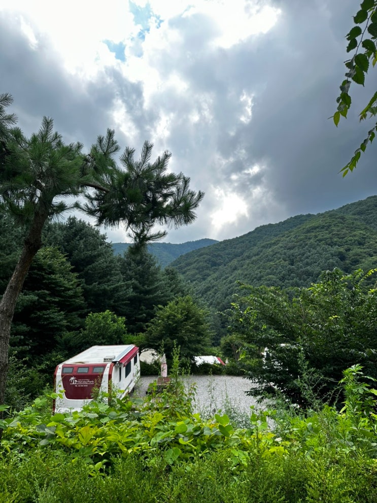 가평 계곡 카라반 숲속 바베큐, 불멍 in 가평명지산카라반글램핑