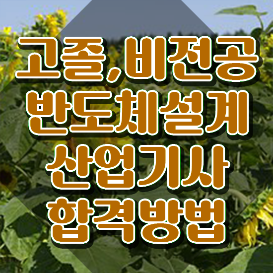  반도체설계산업기사 취득자격 인강만 듣고 단기간에 끝낸 팁