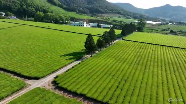  광학기기산업기사 시험응시자격 학점은행제로 편하게 준비한 비법
