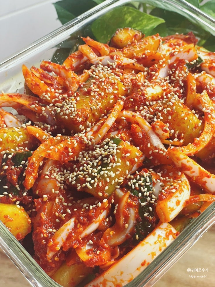  오이김치 담그는법 레시피 양파 오이김치 만들기 아삭한 취청오이 요리