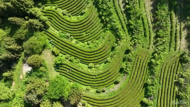  군산 사회복지사2급 직장인도 학점은행제로 편하게