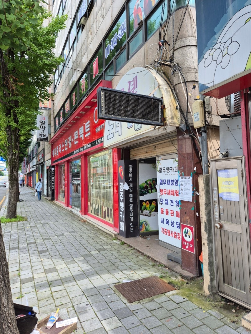 사진 3