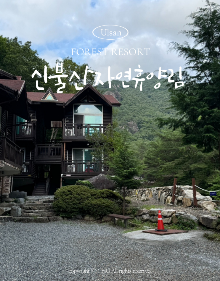  울산 국립신불산폭포자연휴양림 하단 미역취 숙박후기 가족펜션 여행
