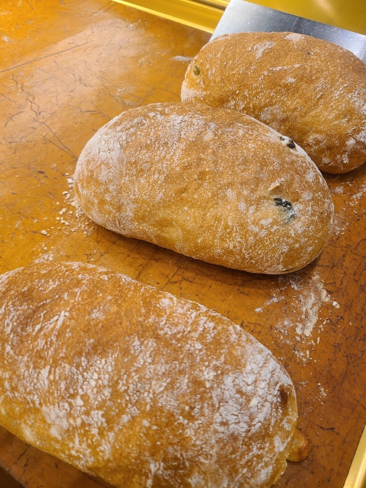  의정부 베이커리 카페, 빵이 맛있는 고산빵명장