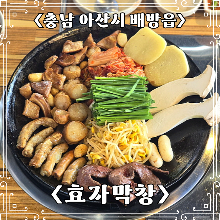  아산 곱창 맛집 효자막창 배방점