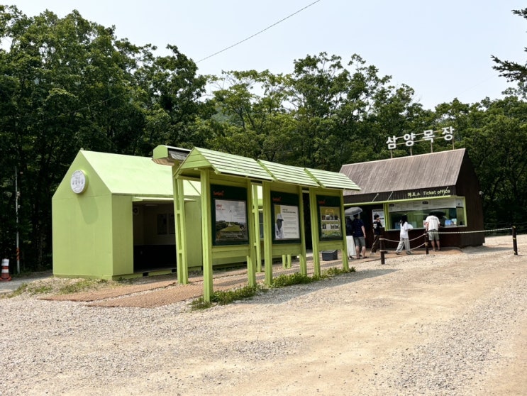  대관령 삼양목장 삼양 라운드힐
