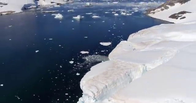 산림 기사전망 산림기사 자격요건 집에서 온라인으로 1학기에 성공한 노하우