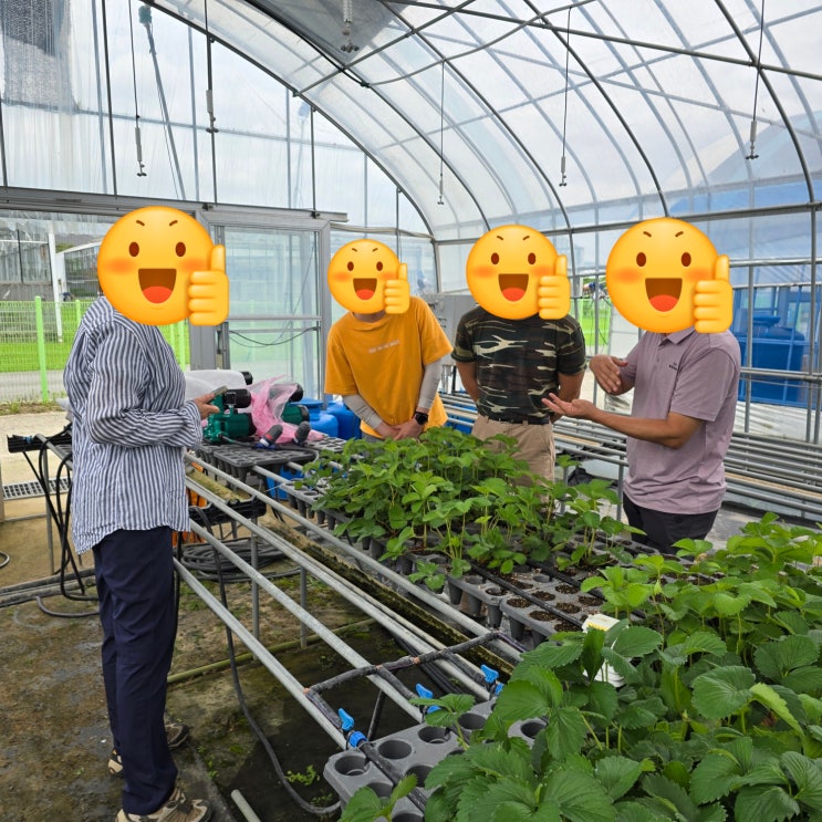  청년농부사관학교 11기 농가인턴 7주차