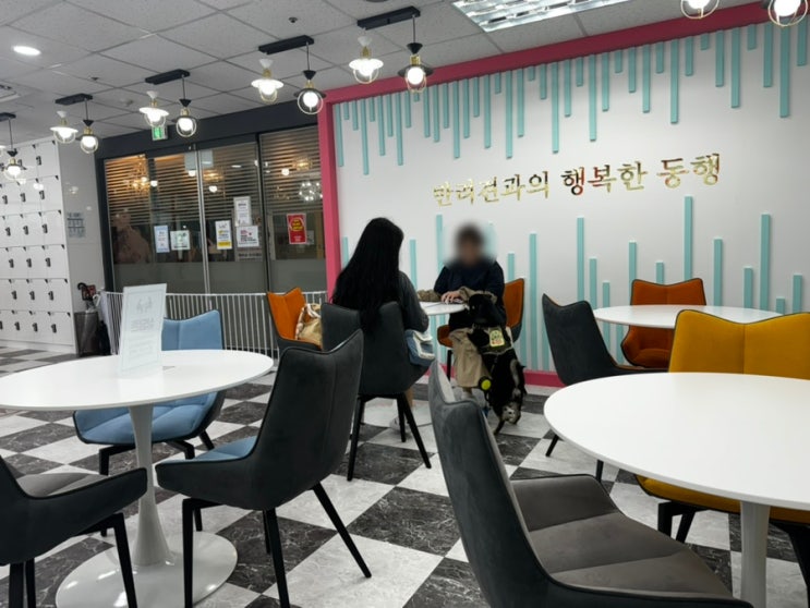  애견미용자격증 3급 취업 가능할까? 현실, 월급, 단기취득 방법, 실견 실습, 비용