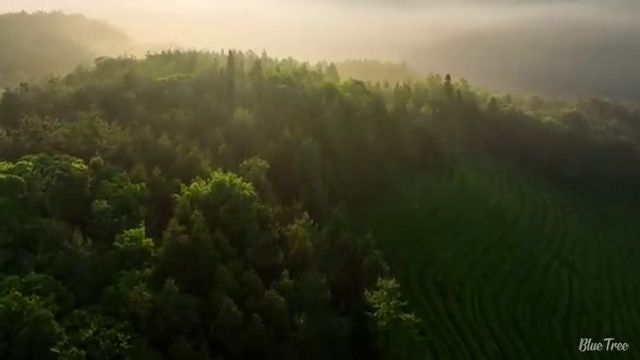  사회복지사시험자격 ? 사회복지사 중년 직장인도 학점은행제로 쉽고 빠르게