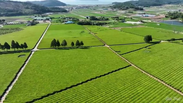  원주 사회복지 공무원 자격 사회복지사2급 경력없어도 온라인으로 간편하게