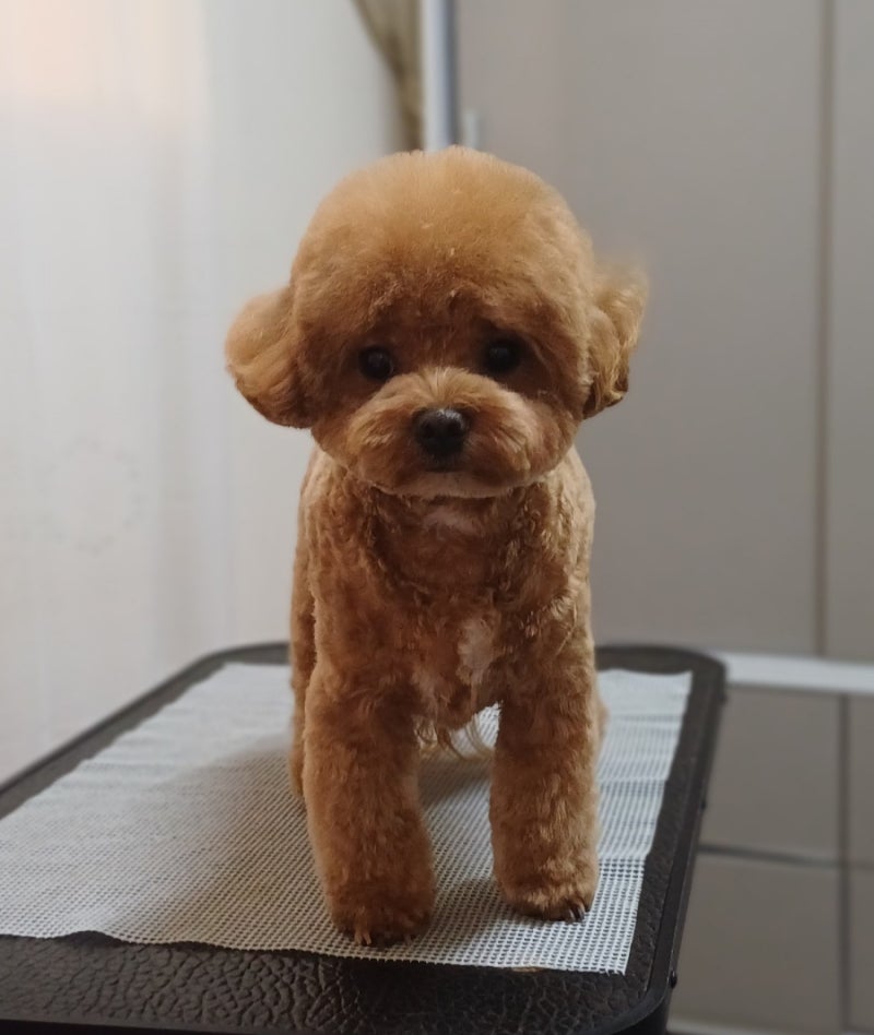 사진 5