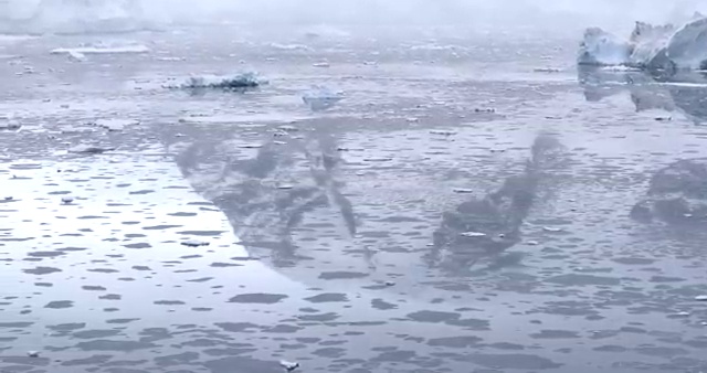  일본미용자격증 , 미용사자격증 1년도 안걸려서 딴 비법 보고싶다면