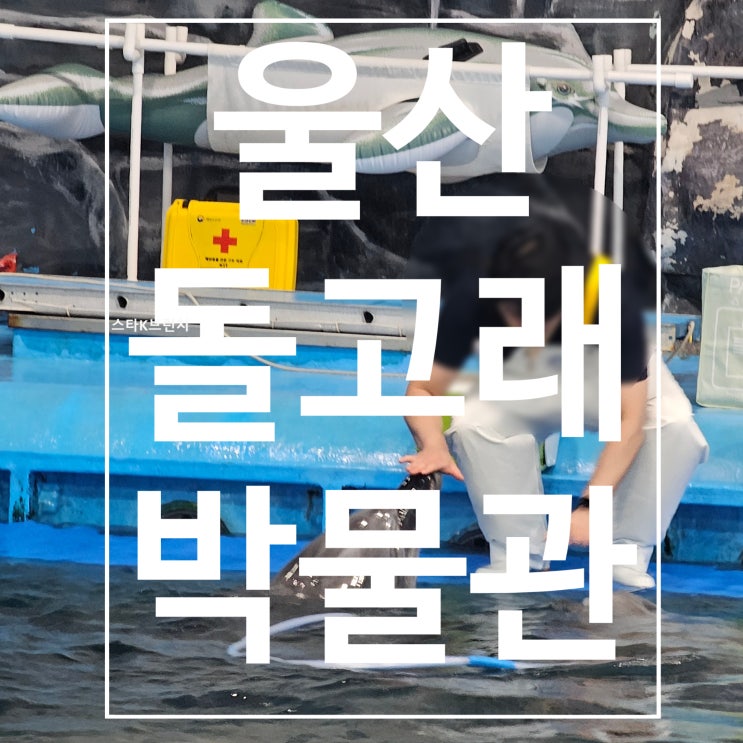  울산 고래생태체험관 동심으로 돌아간 하루