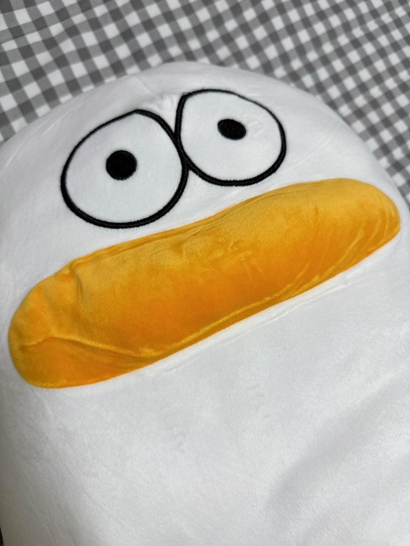오둥이 바디필로우 오둥이 입니다만 선물 후기