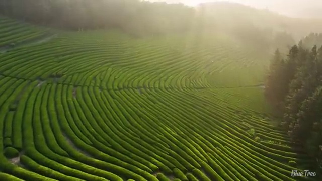  명지대 경영학과 , 학점은행제 전공 인강만 듣고 쉽게 완료한 전략