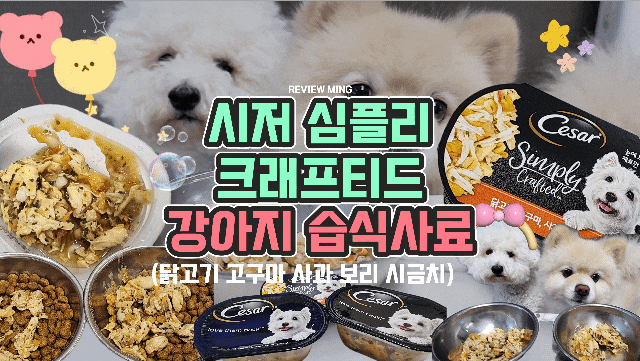  강아지간식 시저 심플리 크래프티드 습식사료 리뷰