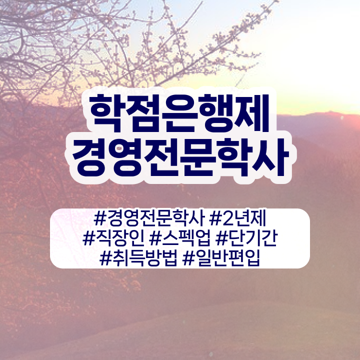  경영학 경제학 , 경영학과 온라인으로 준비했던 비법