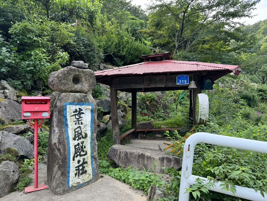 잎새바람 사진 4