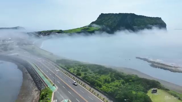  인간공학기사 필기 인간공학기사 시험응시조건 온라인 과정으로 1학기 만에 성공한 전략