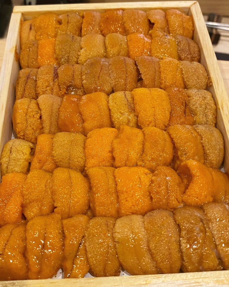  [서울 을지로 오마카세 스시소우카이] 내돈내산 디너코스 예약, 모든 메뉴