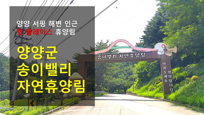 사진 2