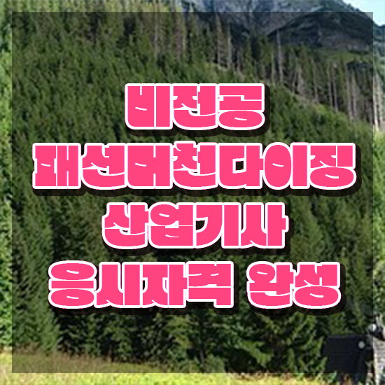  패션머천다이징산업기사 응시조건 인강으로 4달만에 성공한 과정