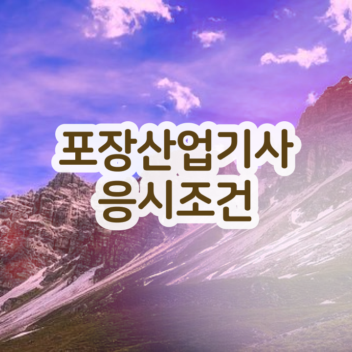  포장산업기사 시험자격 온라인 수업으로 15주만에 준비한 방법