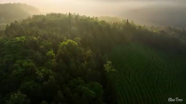  전남 사회복지사2급 관련학과 아니어도 온라인 수업으로 간단하게