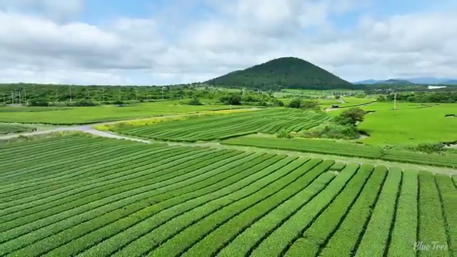  전주 2024년 사회복지사 급여 사회복지사2급 비전공자도 온라인 수업으로 수월하게