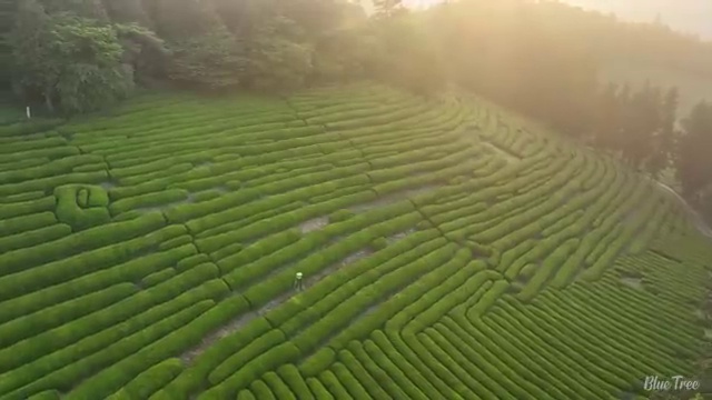  서산 의료사회복지사 연봉 사회복지사2급 중년 직장인도 온라인 과정으로 빠르게