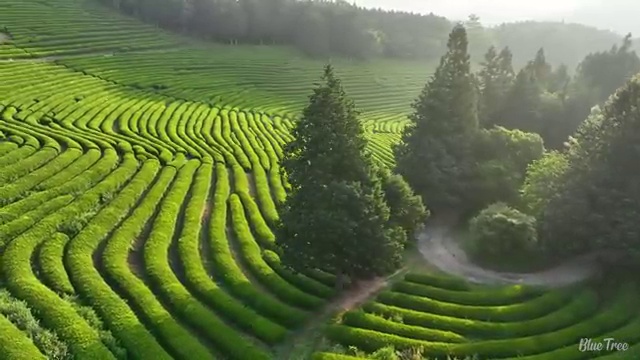  철원 사회복지사미래 ~ 사회복지사2급 학력 상관없이 독학으로 간단하게