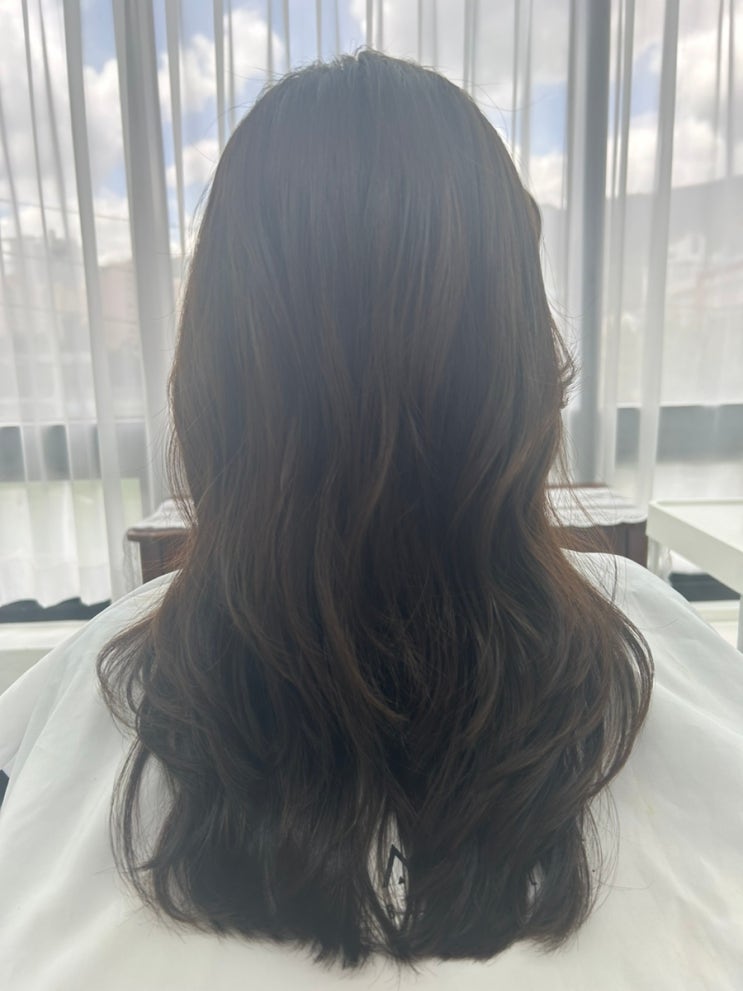  동래 프라이빗 미용실 애견동반 가능한 명륜동 아디아나뷰티랩