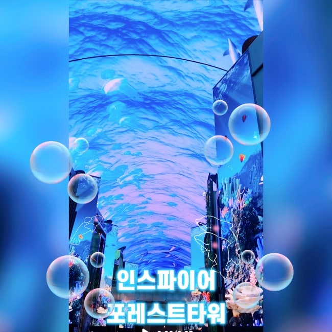  인천 영종 인스파이어 리조트 포레스트 타워 아이와 호캉스