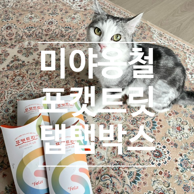  편식 고양이을 위한 먹이퍼즐 탭탭박스
