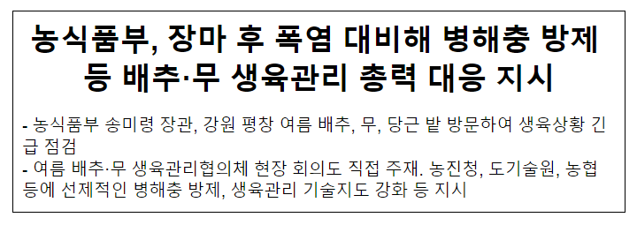 농식품부, 장마 후 폭염 대비해 병해충 방제 등 배추·무 생육관리 총력 대응 지시 농식품부, 장마 후 폭염 대비해 병해충 방제 등 배추·무 생육관리 총력 대응 지시