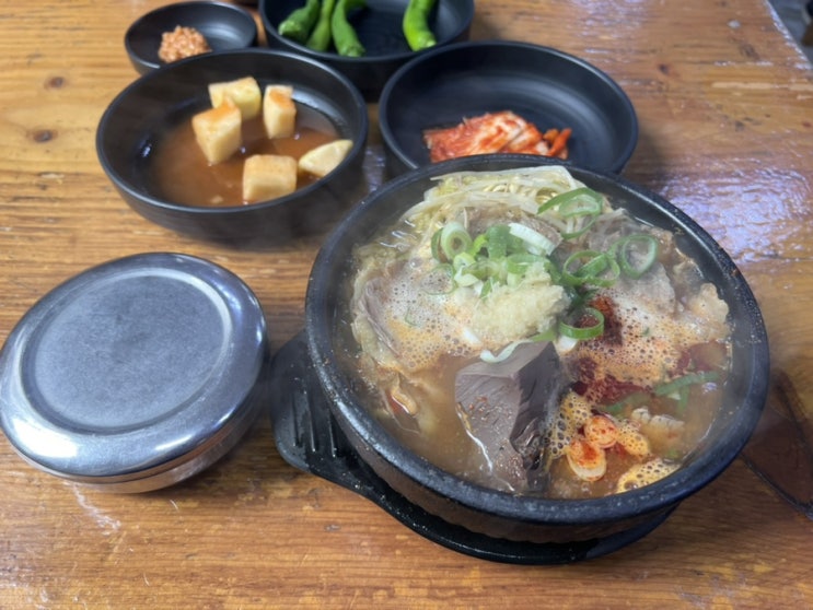  제주 맛집 은희네해장국 노형점