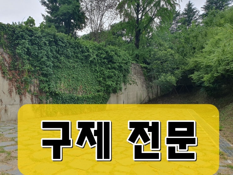  수원 행정사 음주운전 면허구제 취소 처분 110일 정지 감경 전문 사무소