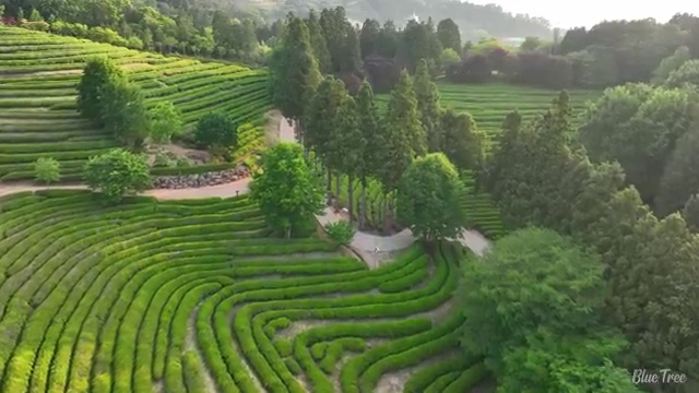  군산 사회복지사2급 중년 직장인도 학은제 활용하여 수월하게