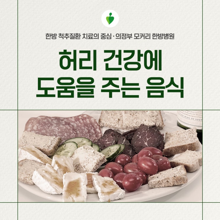  허리에 좋은 음식은 단백질이 풍부한 식품 | 의정부 모커리한방병원