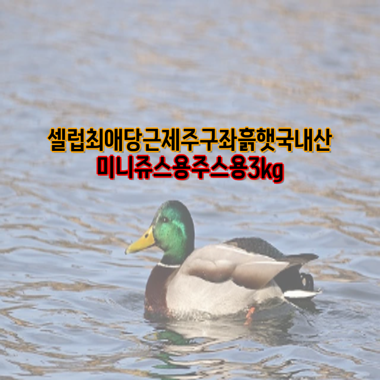 <b>제주</b> 구좌 흙<b>당근</b> <b>쥬스용</b> 3kg... 햇<b>당근</b>, 국내산, <b>미니</b>, 세척... 
