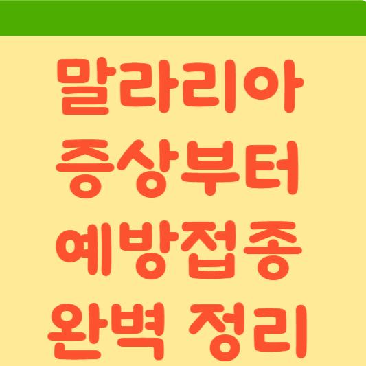  말라리아 증상부터 예방접종 완벽 정리