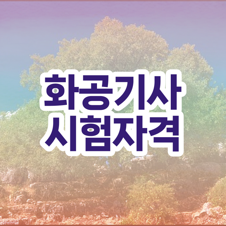  화공기사 자격 화공기사 시험응시조건 온라인으로 편하게 준비한 팁