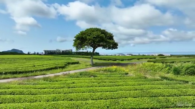  용인 초등 학교사회복지사 사회복지사2급 경력없어도 학점은행제로 간단하게