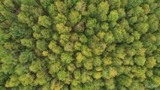  의공기사 하는일 의공기사 시험응시자격 독학으로 15주만에 완료한 방법