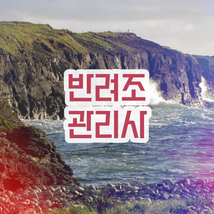  모란앵무 먹이 , 반려조관리사 자격증 2주 만에 합격한 비법 , 이후 전망